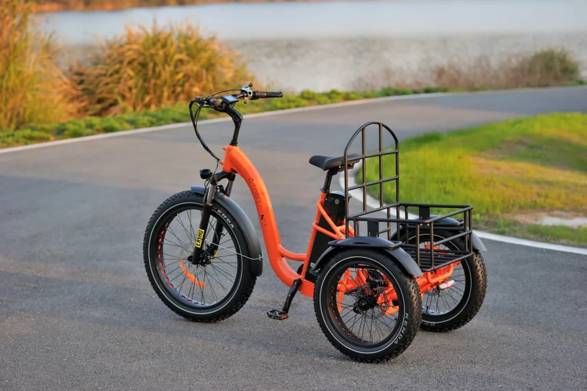 Tribeca E-Trike for Families